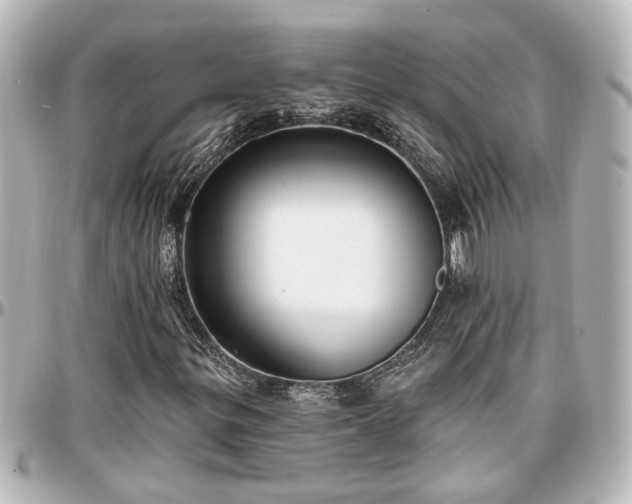 X0000097291299200802221302