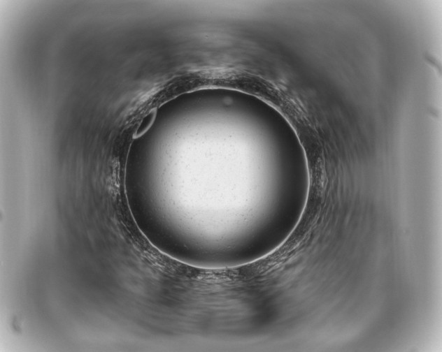 X0000097291301200802221302