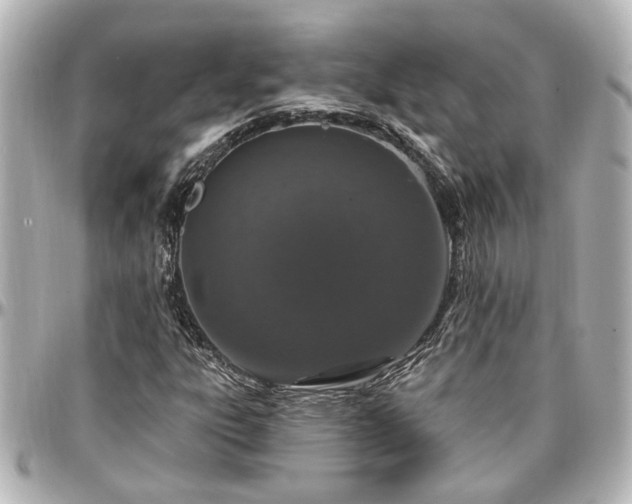X0000097291303200802221302