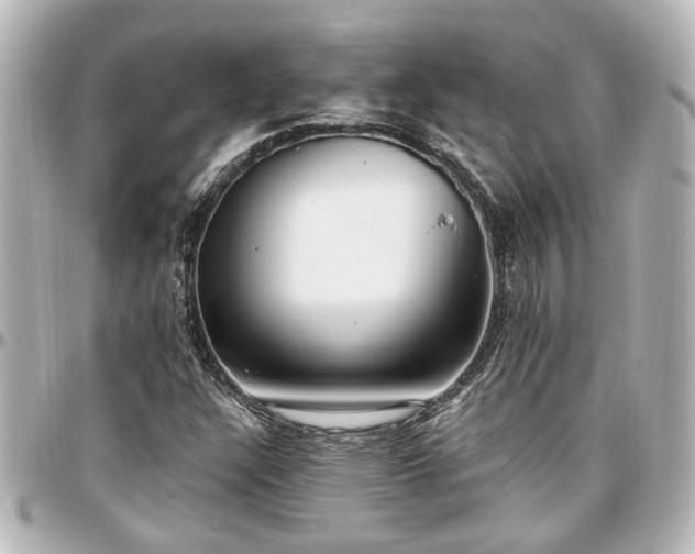 X0000097291304200802221302