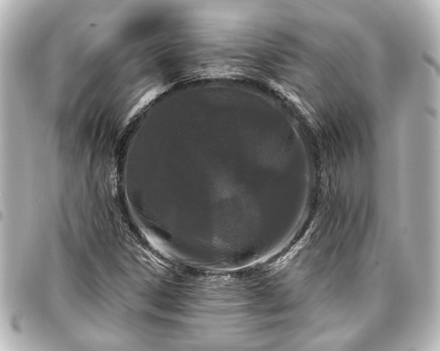X0000097291306200802221302