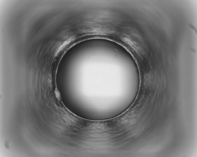 X0000097291307200802221302