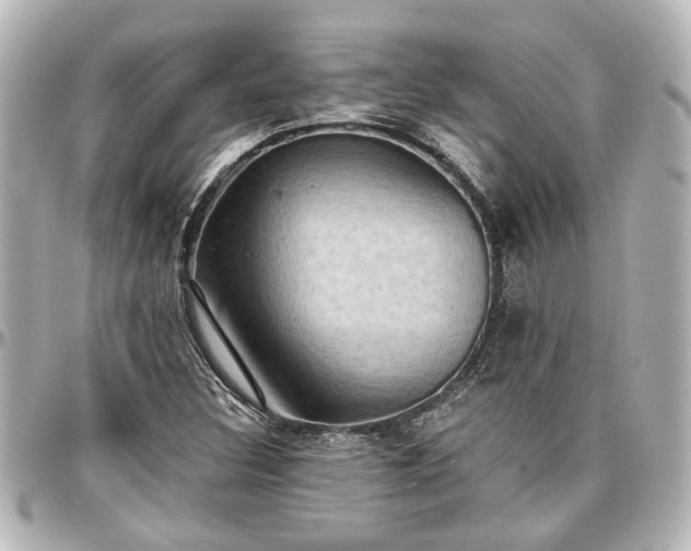 X0000097291308200802221303