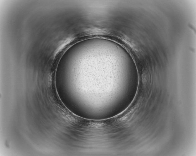 X0000097291309200802221303