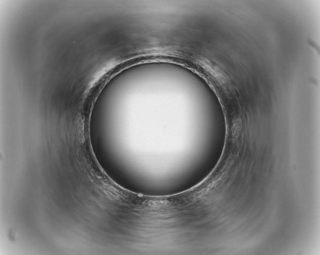 X0000097291310200802221303