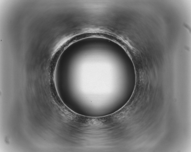 X0000097291311200802221303