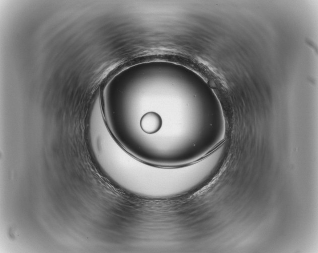 X0000097291313200802221303