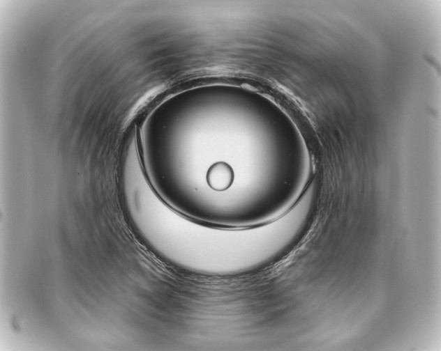 X0000097291314200802221303