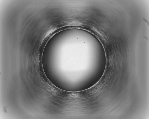 X0000097291315200802221303