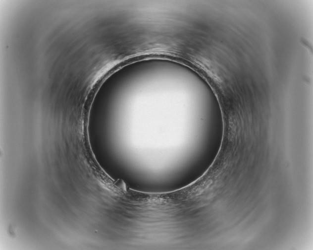 X0000097291316200802221303