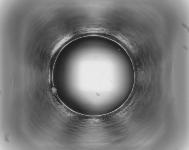 X0000097291317200802221303