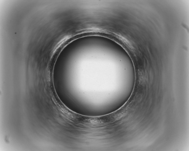 X0000097291318200802221303