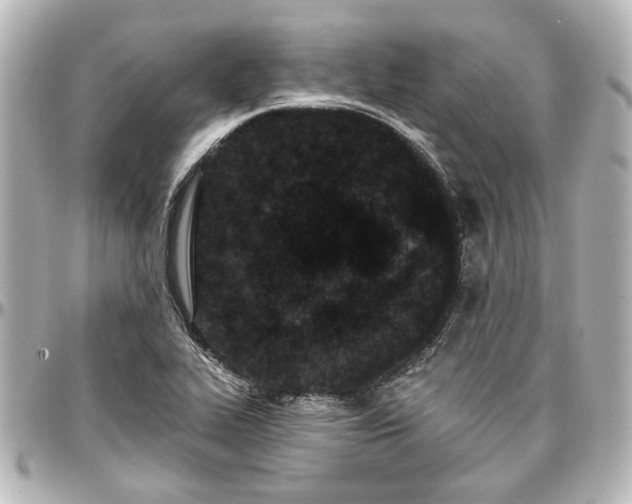 X0000097291319200802221303