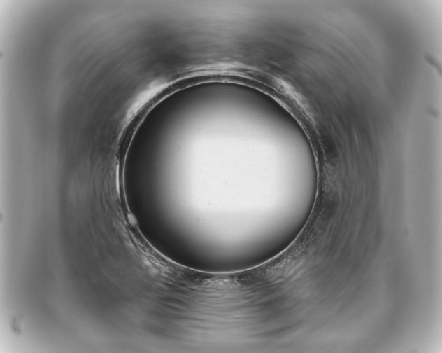 X0000097291320200802221303