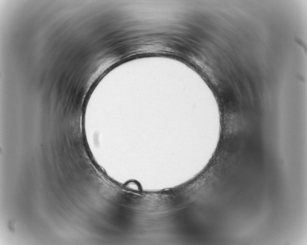 X0000097291322200802221303