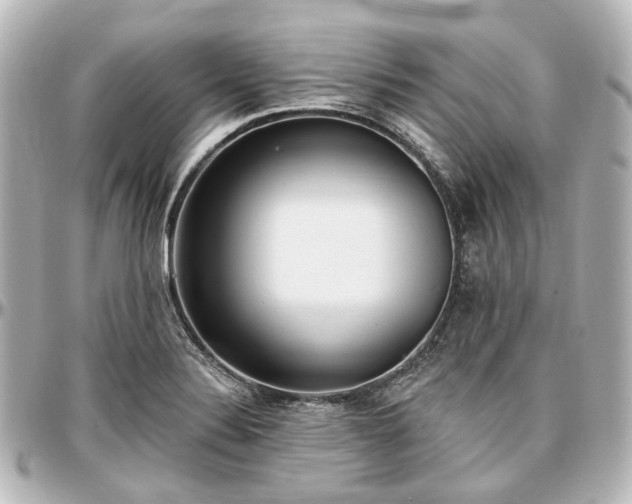 X0000097291324200802221303