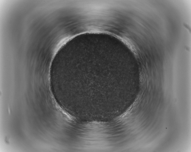 X0000097291327200802221303