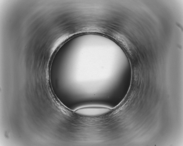 X0000097291328200802221303