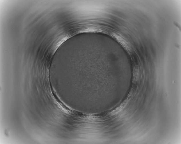 X0000097291329200802221303