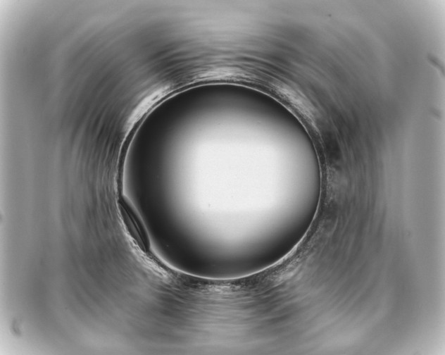 X0000097291330200802221303