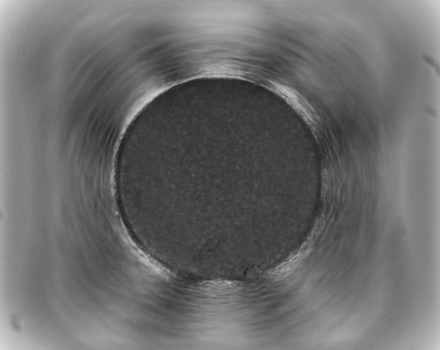 X0000097291331200802221303