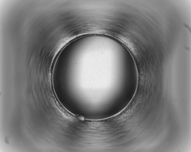 X0000097291332200802221303