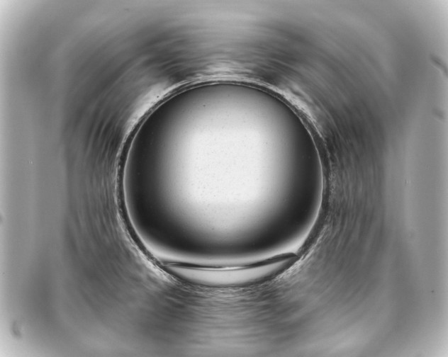 X0000097291333200802221303