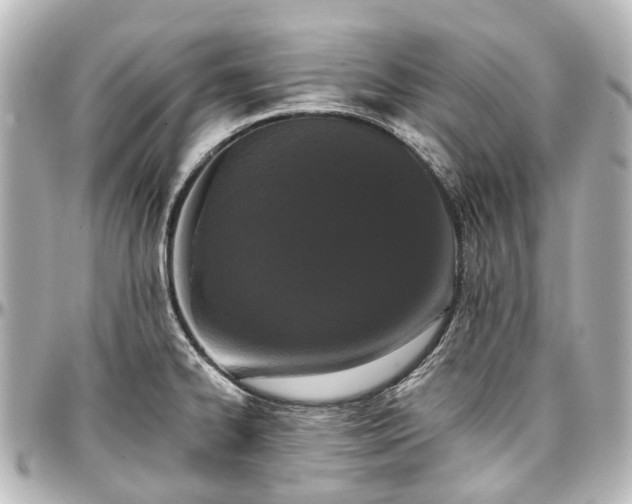 X0000097291334200802221303