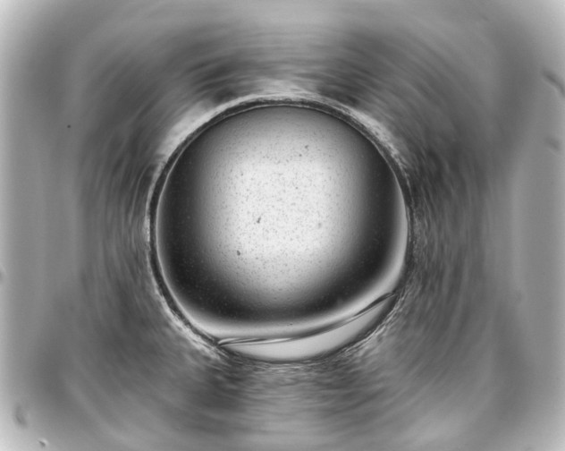 X0000097291335200802221303