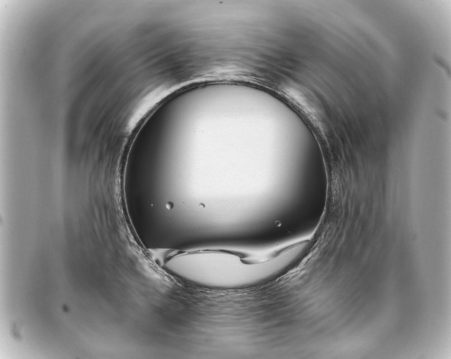 X0000097291336200802221303
