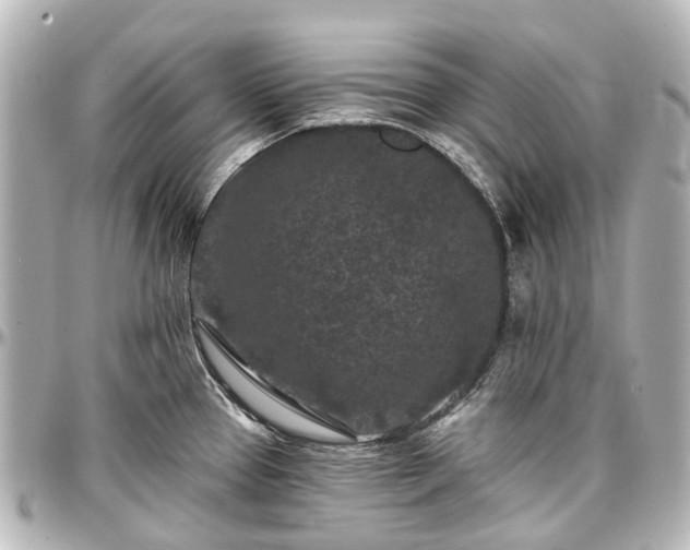 X0000097291337200802221303