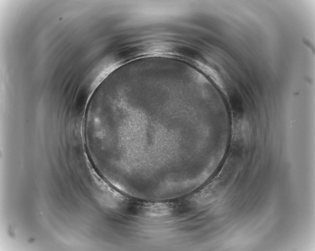 X0000097291338200802221303