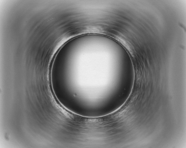 X0000097291339200802221303