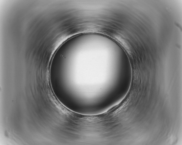 X0000097291340200802221303