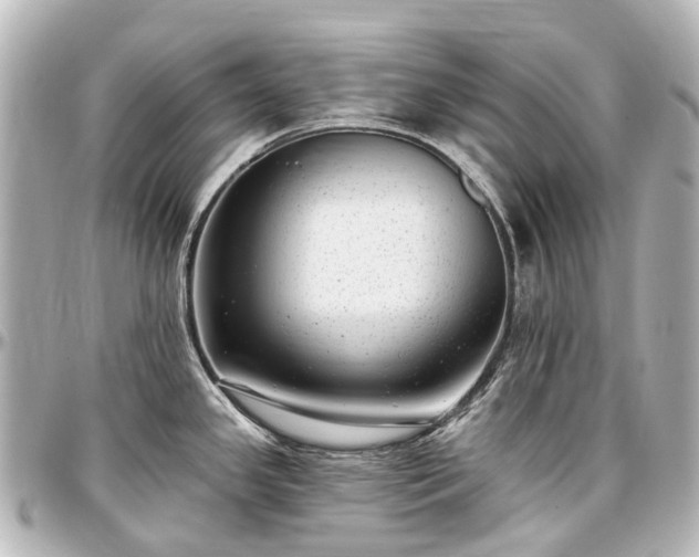 X0000097291341200802221303