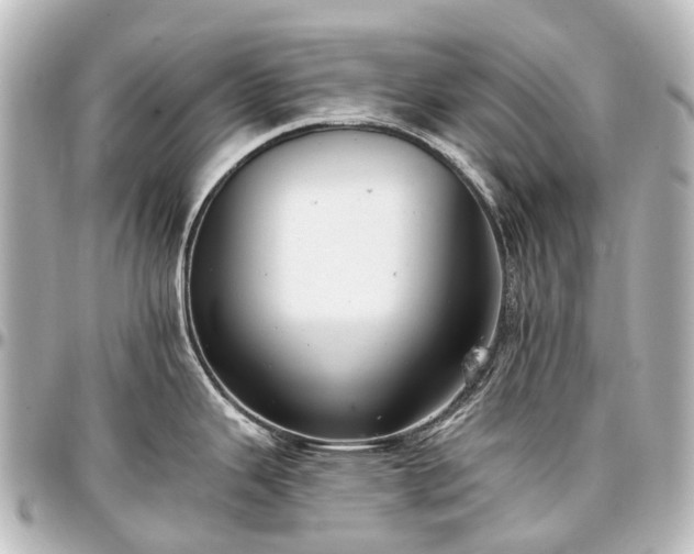X0000097291343200802221303