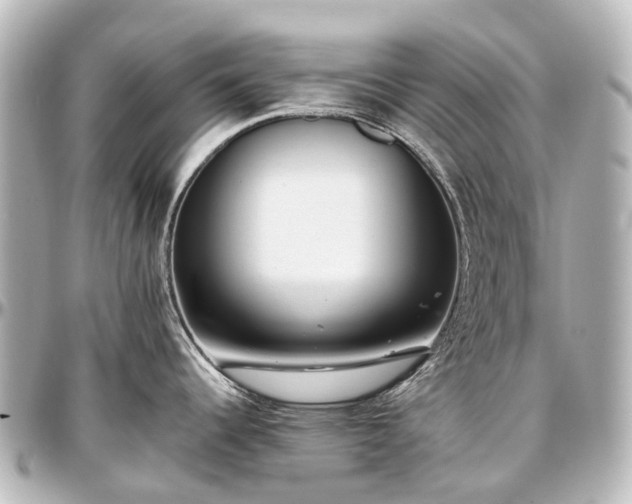 X0000097291344200802221303