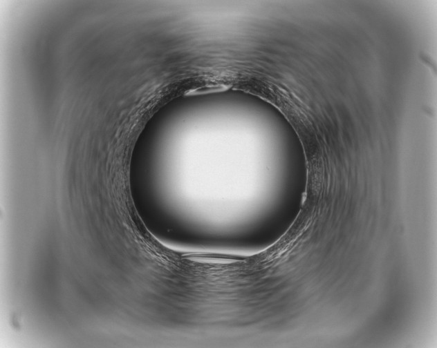 X0000097291345200802221302