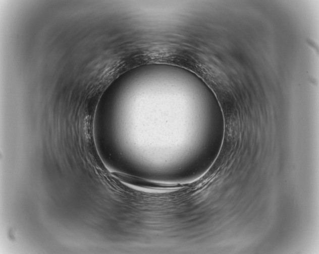 X0000097291346200802221302