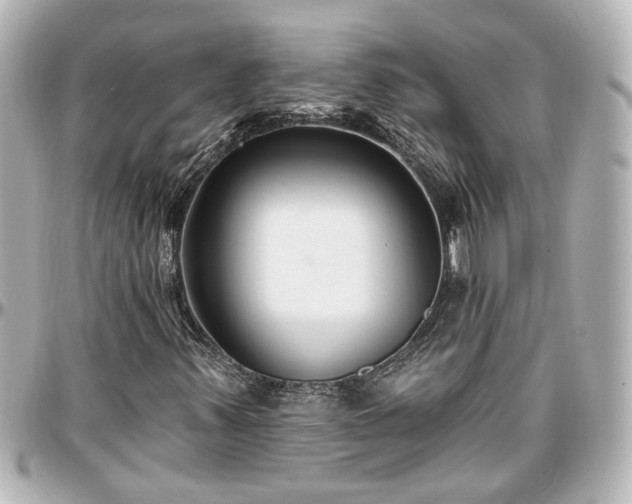 X0000097291347200802221302