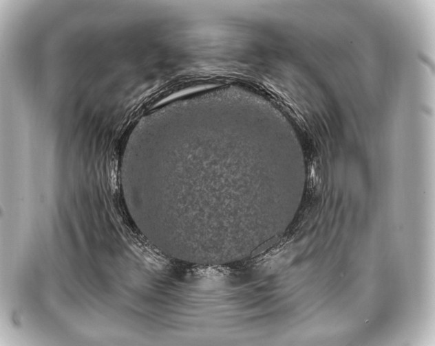 X0000097291348200802221302