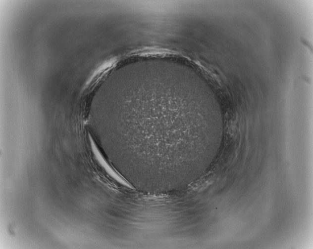 X0000097291351200802221302