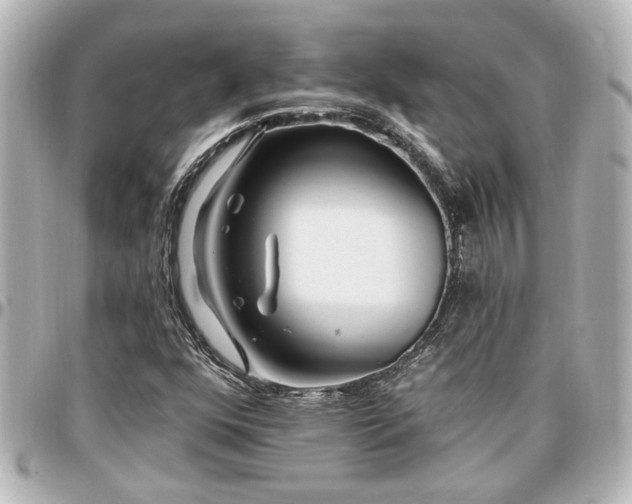 X0000097291352200802221302