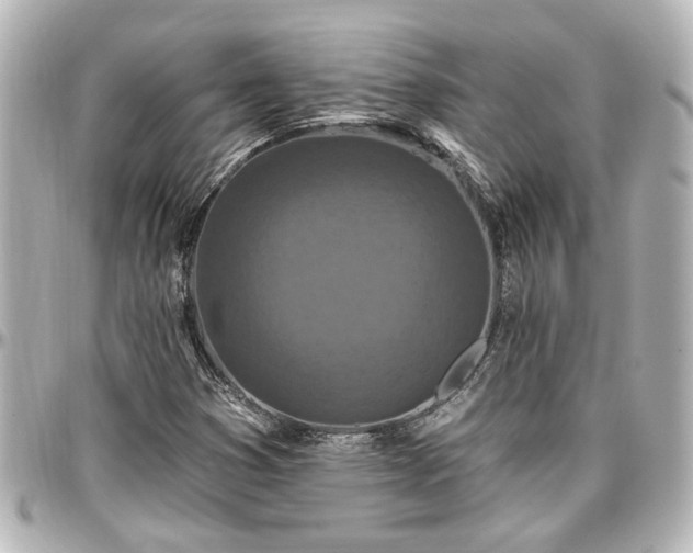 X0000097291353200802221302