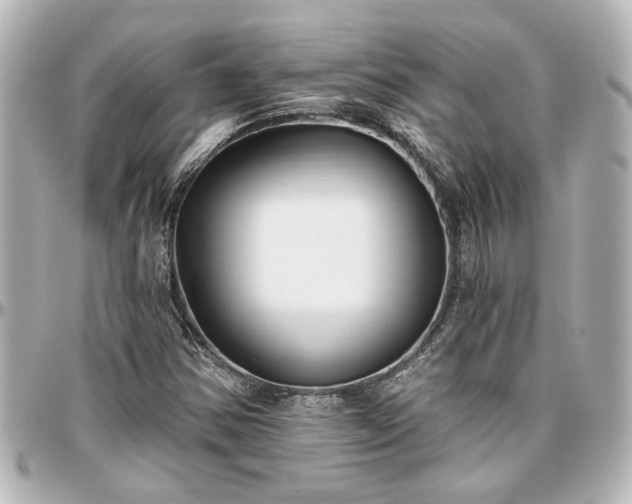 X0000097291354200802221302