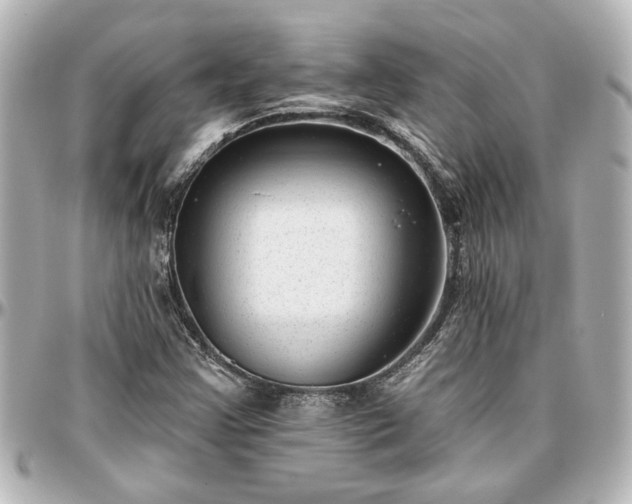 X0000097291355200802221302