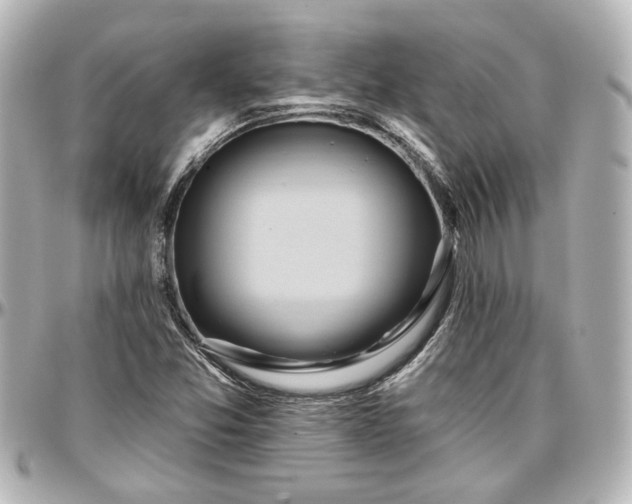 X0000097291357200802221302