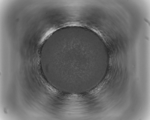 X0000097291359200802221302