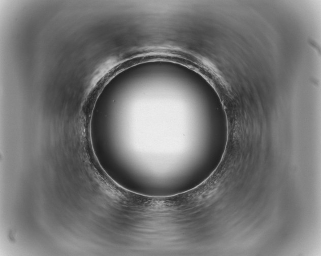 X0000097291360200802221302