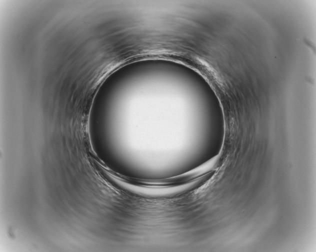 X0000097291361200802221302